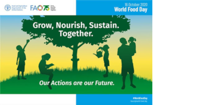 Ανακοίνωση Συνδέσμου Διαιτολόγων και Διατροφολόγων Κύπρου για την Παγκόσμια Ημέρα Τροφίμων (16/10/2020)
